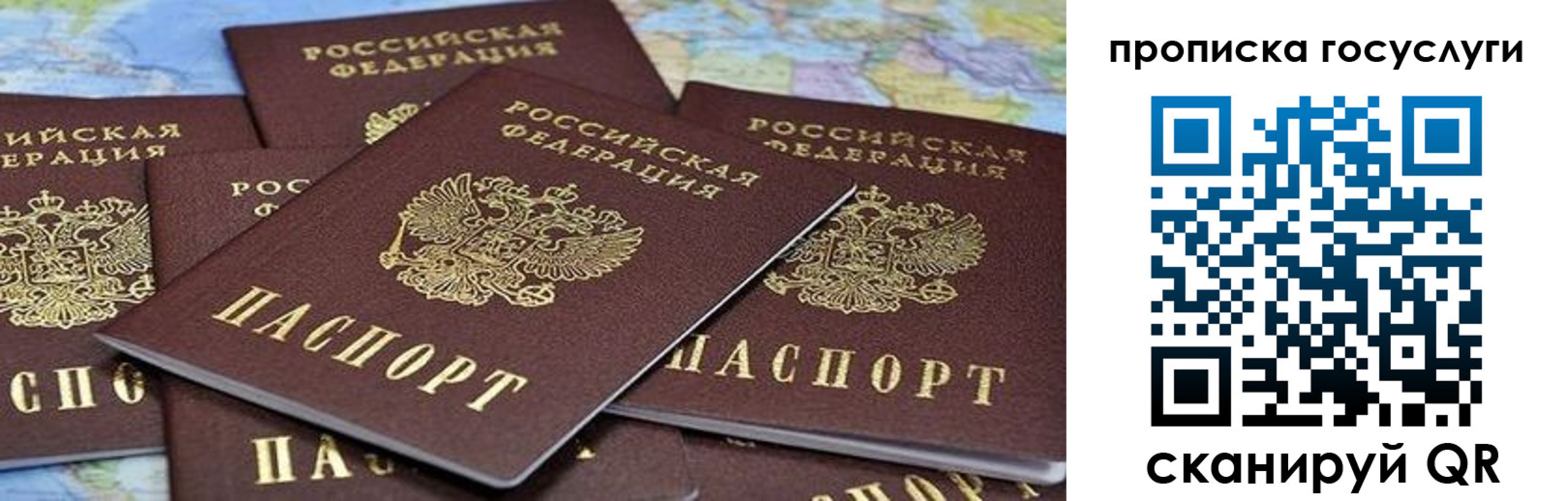 временная регистрация адрес в Краснозаводске